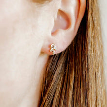 Load image into Gallery viewer, Screwback Stud Earrings - Laurel Gold
