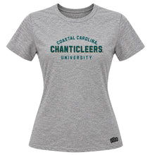 Load image into Gallery viewer, Coastal Carolina Jersey Tee Grey
