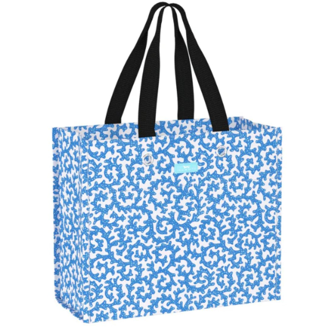 Large Package Coraline