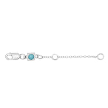 Load image into Gallery viewer, enewton 2" Silver Necklace Extender
